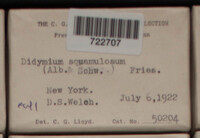 Image Associated With the Occurence